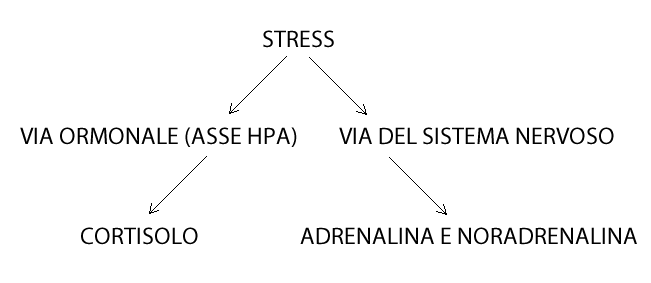 grafico stress