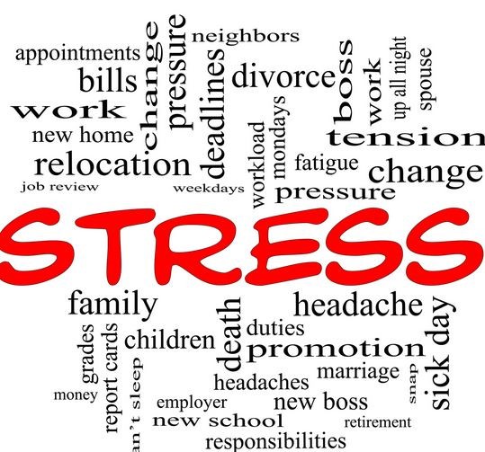 GLI STRESSOR LI CONOSCIAMO BENE?