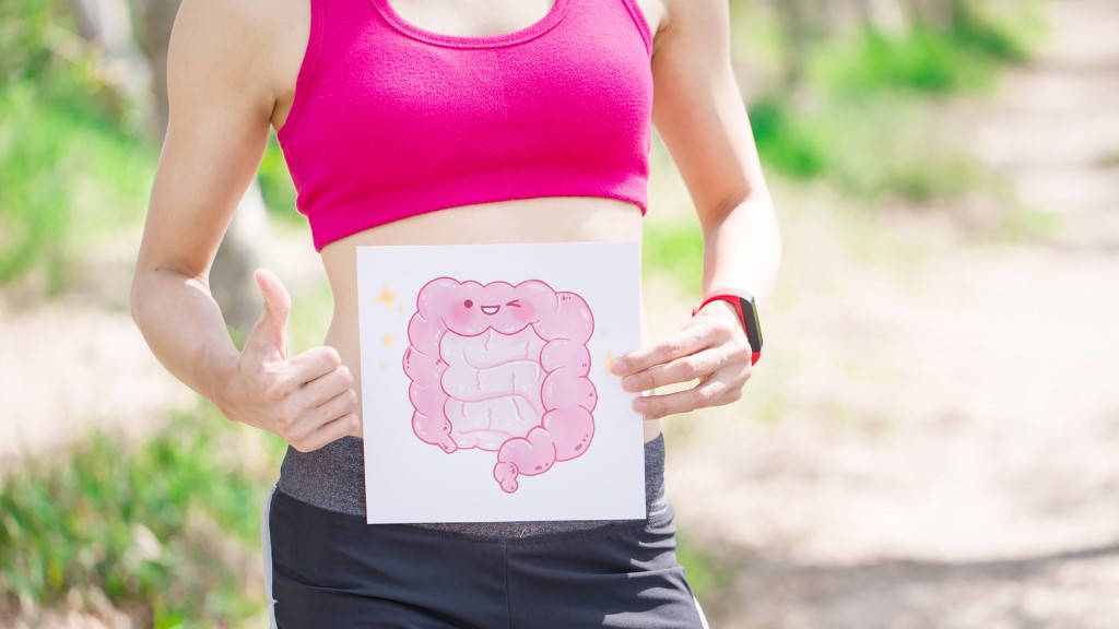INTESTINO E MUSCOLO: DUE MONDI CONNESSI