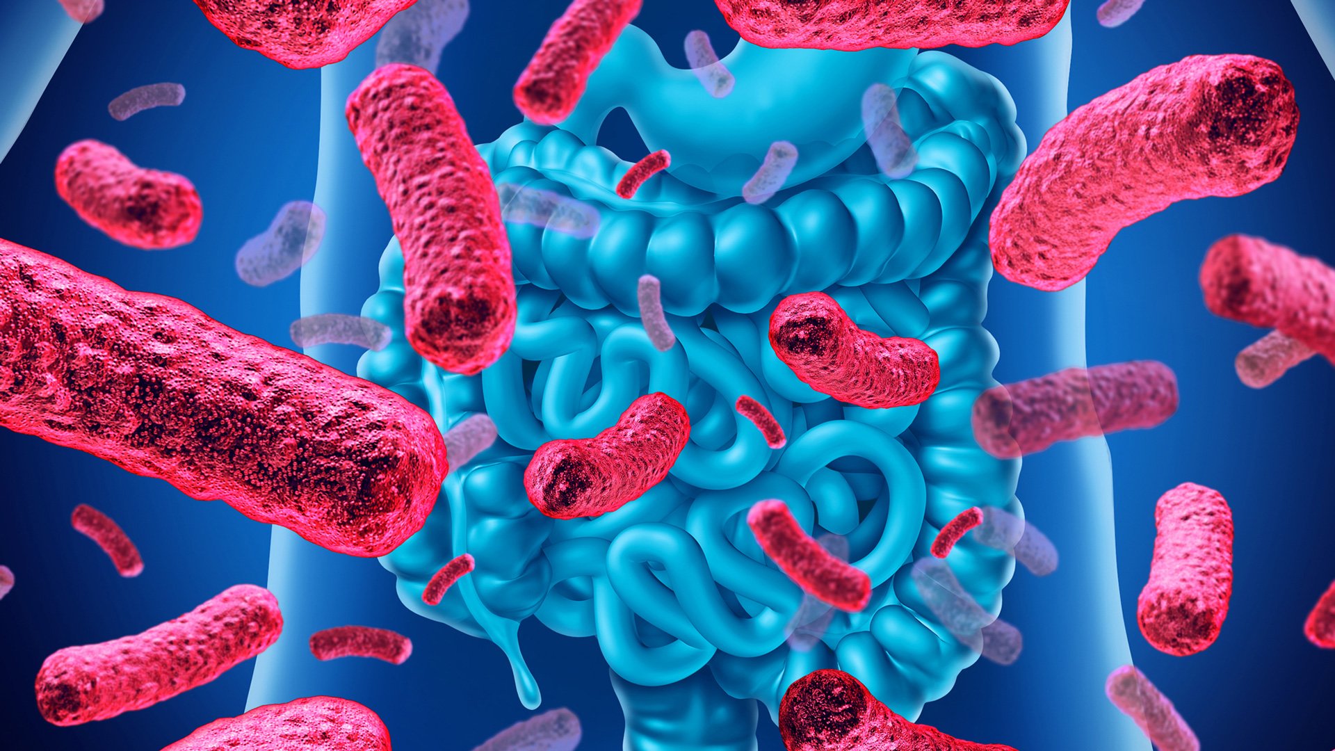 UNA DIETA MONOTONA PUÒ DANNEGGIARE L’INTESTINO